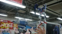 DSC00739.JPG